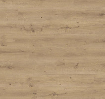 Ламинат Haro Daily Edition 8 mm 541343 Дуб Бреда Пуро фото 1 | FLOORDEALER